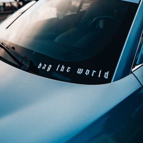 BAG THE WORLD 30CM
